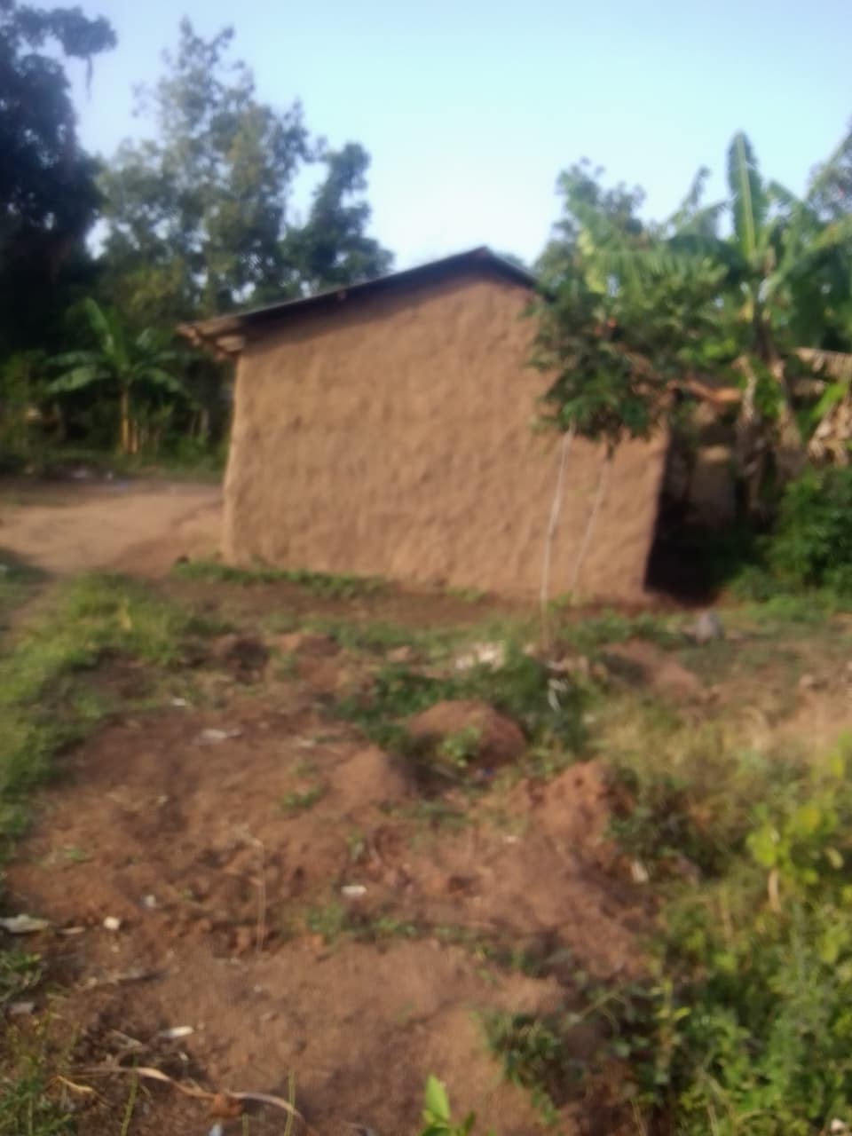 Widow's new home after reconstruction
